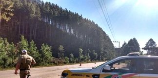 policia rodoviário em frente à caminhonte da PMRV na beira de estrada; plantação de eucalipto ao fundo