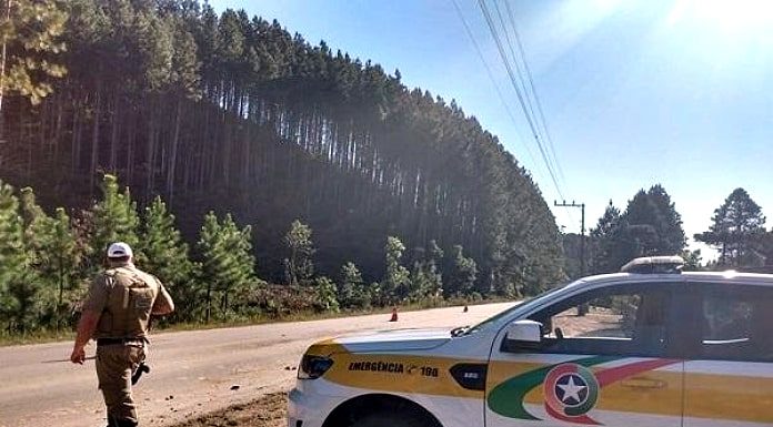 policia rodoviário em frente à caminhonte da PMRV na beira de estrada; plantação de eucalipto ao fundo