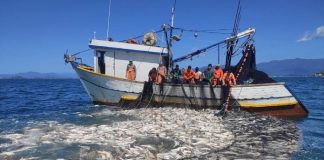 grande quantidade de peixes no cerco da rede ao lado do barco, com dez homens na lateral olhando para a água