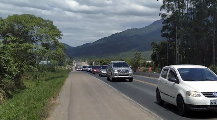 carros passando em fila na estrada e acostamento no centro da imagem