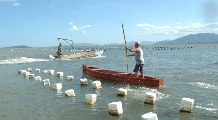 Dois barcos, em cada um tem um homem em pé remando