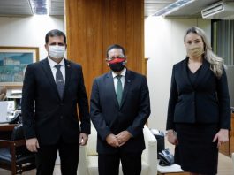 Em Brasília, Daniela Reinehr apoia flexibilização no teto de gastos aversa, mourão e reinehr posam de máscara para foto