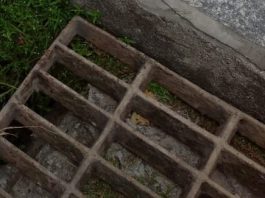 Homem preso em bueiro em Forquilhinha, São José, é retirado pelos bombeiros bueiro