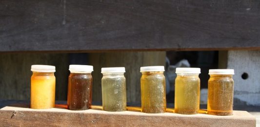 seis pequenos potes de mel de diferentes tons de amarelo e bege arrumados sobre tábua