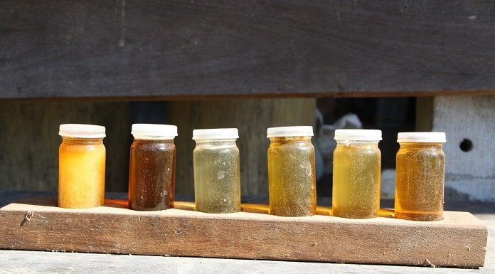 seis pequenos potes de mel de diferentes tons de amarelo e bege arrumados sobre tábua