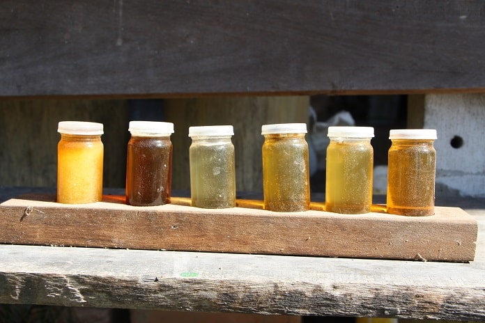 seis pequenos potes de mel de diferentes tons de amarelo e bege arrumados sobre tábua