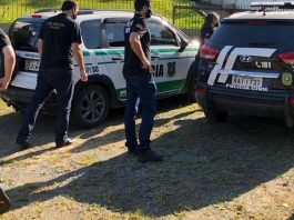 policias em volta de viaturas da polícia civil