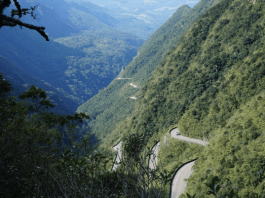 Tráfego na Serra do Rio do Rastro sofrerá alterações em fevereiro - vista da estrada do alto mostrando curvas na encosta com mata