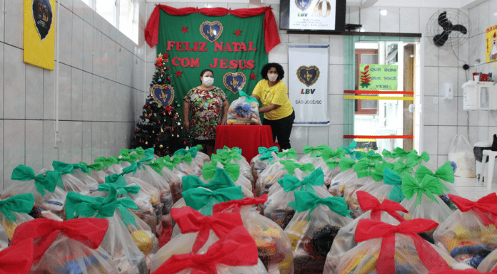 Sacos com alimentos e kits de limpeza com laços natalinos nas cores: vermelho e verde