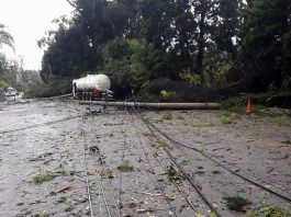 linha de transmissão caída no asfalto e sobre um caminhão tanque ao fundo; árvores ao fundo
