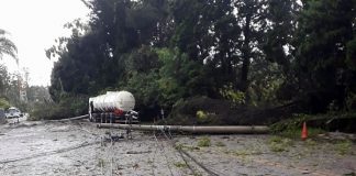 linha de transmissão caída no asfalto e sobre um caminhão tanque ao fundo; árvores ao fundo