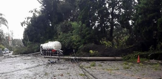 Temporal provoca queda de energia em 200 mil unidades em Santa Catarina linha de transmissão caída no asfalto e sobre um caminhão tanque ao fundo; árvores ao fundo