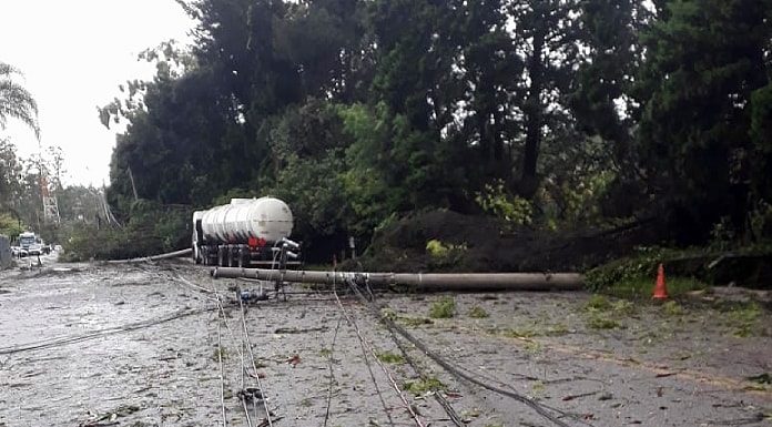 linha de transmissão caída no asfalto e sobre um caminhão tanque ao fundo; árvores ao fundo