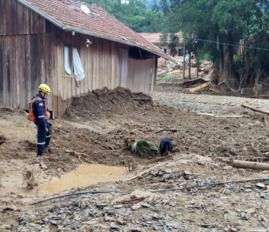 Sobe para 17 o número de vítimas fatais do temporal no Alto Vale do Itajaí bombeiro faz busca por vítimas fatais com cachorro na lama em localidade do alto vale do itajaí; barraco ao lado