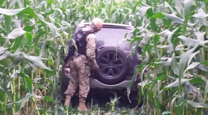 policial verifica suv parado em meio a plantação de milho com rastro por onde passou