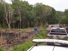 camFiscalização flagra ocupação irregular em mata e prende três no norte da ilha: nhonetes da polícia paradas em estrada ao lado de área desmatada e vegetação ao fundo