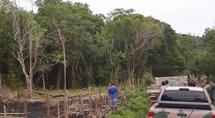 camFiscalização flagra ocupação irregular em mata e prende três no norte da ilha: nhonetes da polícia paradas em estrada ao lado de área desmatada e vegetação ao fundo