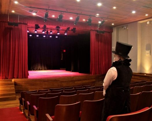 artista fantasiado em pé no meio das poltronas olha para o palco vazio e iluminado do teatro ao fundo