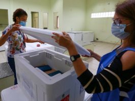 duas servidores abrem caixa de isopor para distribuição do segundo lote de vacina por região de Santa Catarina