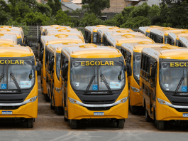 Vários ônibus escolares amarelos na garagem