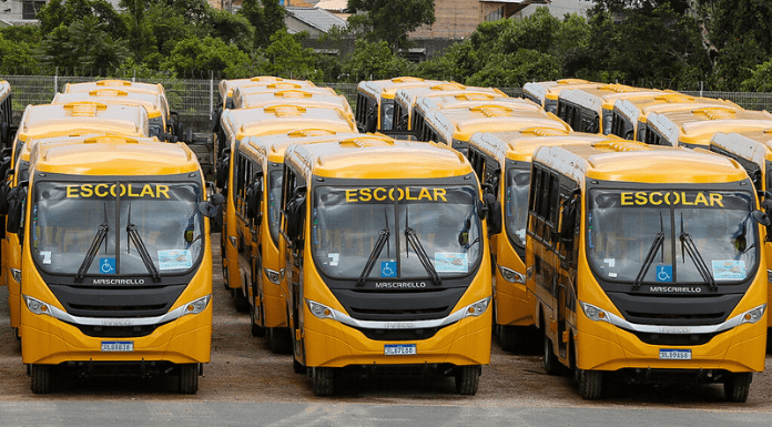 Vários ônibus escolares amarelos na garagem