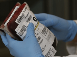 Zoom nas mãos de uma pessoa com luvas azuis segurando uma pacote de doação de sangue