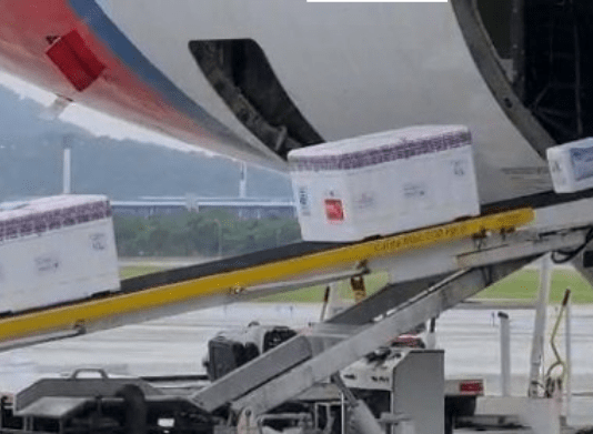 Lote com mais vacinas CoronaVac, chegando em caixas de isopor saindo de esteira de avião com funcionário de epi olhando