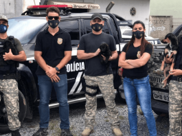 Policiais civis em frente a viatura da PCSC, com dois filhotes de cães que foram resgatados em BC