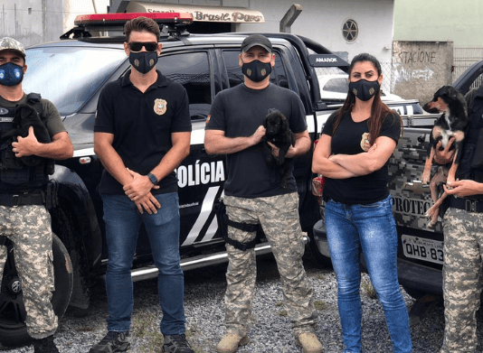 Filhotes de cães são resgatados de dentro de uma mala em Balneário Camboriú Policiais civis em frente a viatura da PCSC, com dois filhotes de cães que foram resgatados em BC
