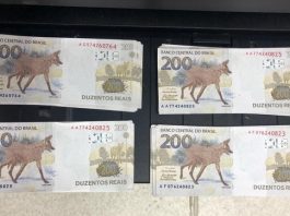 Gráfica clandestina em Blumenau falsificava R$ 500 mil por mês Gráfica em Blumenau falsificava R$ 500 mil por mês