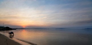 clima para amanhã em santa catarina - previsão de nuvens; sol com nuvens na beira-mar; pôr do sol