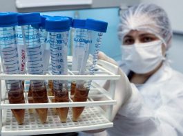 Fapesc aumenta em 20% valores de bolsas de mestrado e doutorado pesquisadora usando equipamentos de proteção segura ampolas com amostras para sequenciar genoma do coronavírus