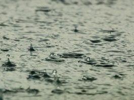 previsão do tempo para amanhã em santa catarina é chuva - clima para amanhã grande florianópolis e sc