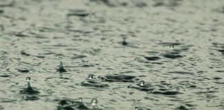 previsão do tempo para amanhã em santa catarina é chuva - clima para amanhã grande florianópolis e sc