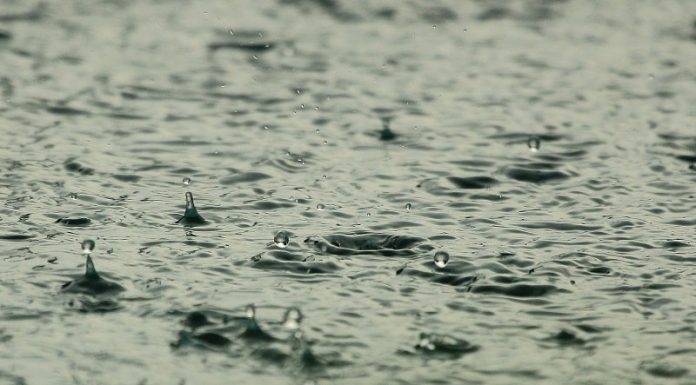 previsão do tempo para amanhã em santa catarina é chuva - clima para amanhã grande florianópolis e sc