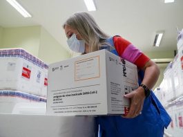 vacinação de coronavírus em Santa Catarina - funcionária da vigilância sanitária confere caixas de vacina de sars-cov-2