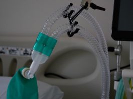 Letalidade da Covid em Santa Catarina - respirador em uti