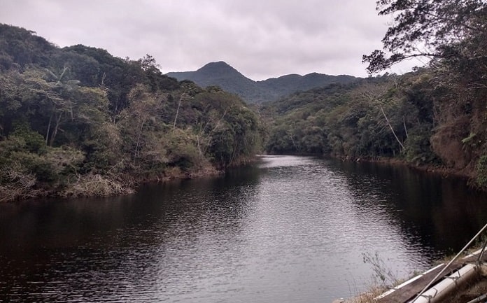 rio vargem do braço normalizado com mata em volta mostra condição hídrica em santa catarina melhor, mas ainda em atenção