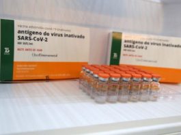 Governo de SC recebe 126 mil doses da Coronavac em São Paulo caixas e ampolas de doses da coronavac que são entregues na segunda em são paulo
