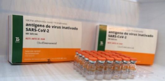 Governo de SC recebe 126 mil doses da Coronavac em São Paulo caixas e ampolas de doses da coronavac que são entregues na segunda em são paulo