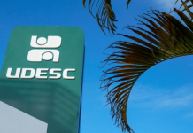 Placa da Udesc no lado esquerdo da imagem, vista de baixo para cima, no lado direito folhas de uma palmeira e atrás um céu bem azul e sem nuvens