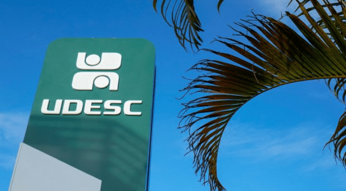 Placa da Udesc no lado esquerdo da imagem, vista de baixo para cima, no lado direito folhas de uma palmeira e atrás um céu bem azul e sem nuvens