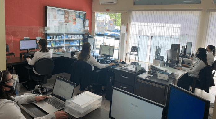 Cartórios abrirão em SC durante período de carnaval: trabalhadores em frente aos seus computadores trabalhando em um cartório do estado