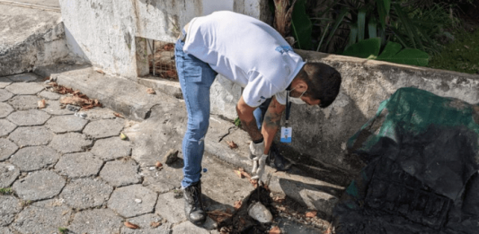 Agente da Blitz Sanear fiscalizando esgoto em Florianópolis