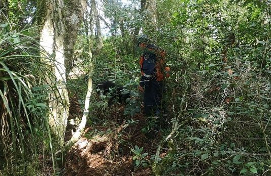 Justiça determina internação provisória de adolescente que teria matado menina de 14 anos Área de mata onde o corpo da adolescente Ana Kemilli foi encontrado. Na foto, área verde com folhagens e um homem do corpo de bombeiros.