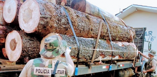 De costas, um policial militar com roupa camuflada aparece observando o caminhão com toras de madeira de pinheiro brasileiro.