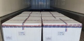 seis caixas de isopor onde está acondicionado o quarto lote de vacinas enviado a santa catarina