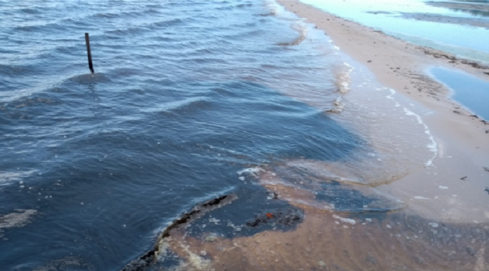 Água da lagoa com rastros de materiais amarronzados após desastre ecológico que vem sendo avaliado por pesquisadores da UFSC