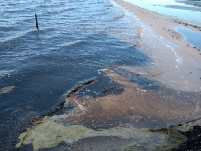 Água da lagoa com rastros de materiais amarronzados após desastre ecológico que vem sendo avaliado por pesquisadores da UFSC