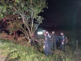 celta batido ao lado de árvore onde mulher morreu na sc 405; três bombeiros em volta; foto noturna